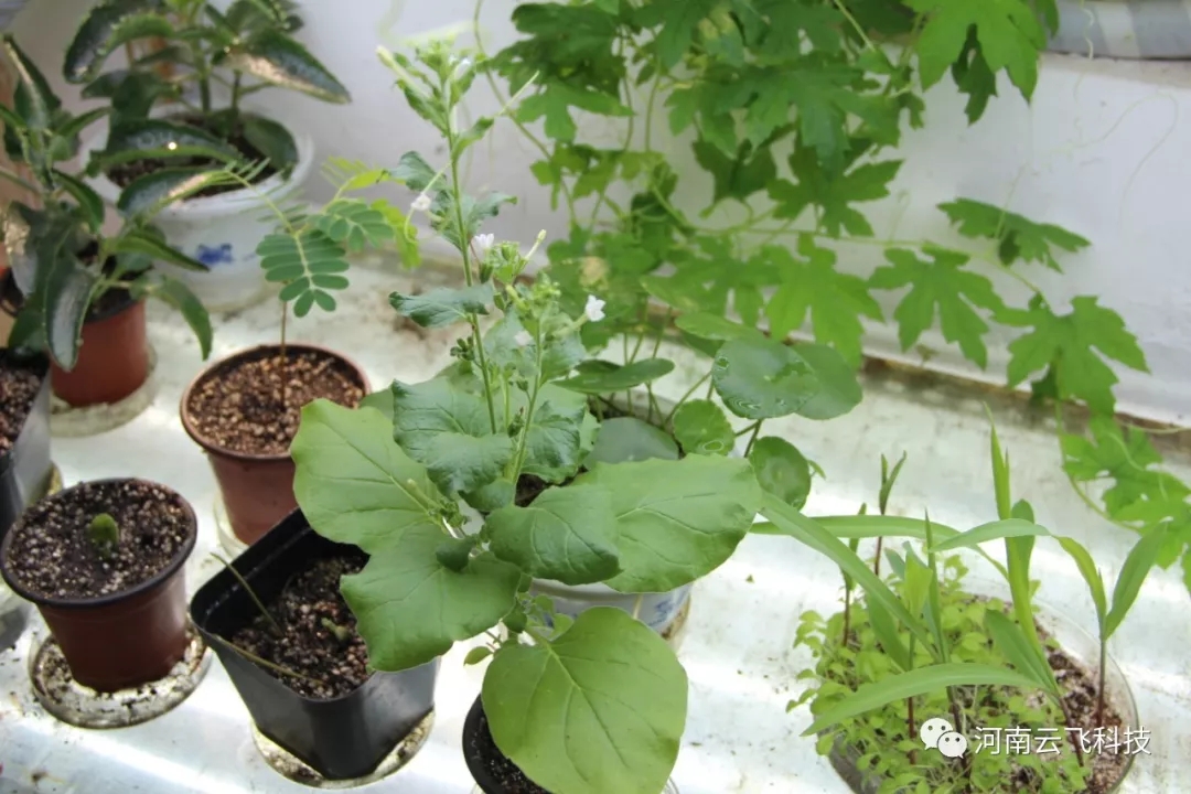 �������w�y�ֺ����r(n��ng)���_��Ժ�����������